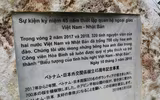 Anh đào Nhật Bản nở hoa, rực rỡ khoe sắc tại Hà Nội